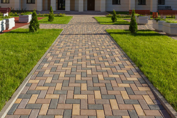 Best Residential Paver Driveway  in Brooklyn Center, MN